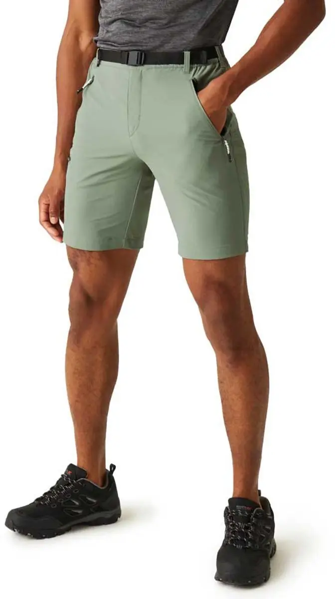 Regatta Xert Stretch Iii Korte Broek Groen 56 / Regular Man