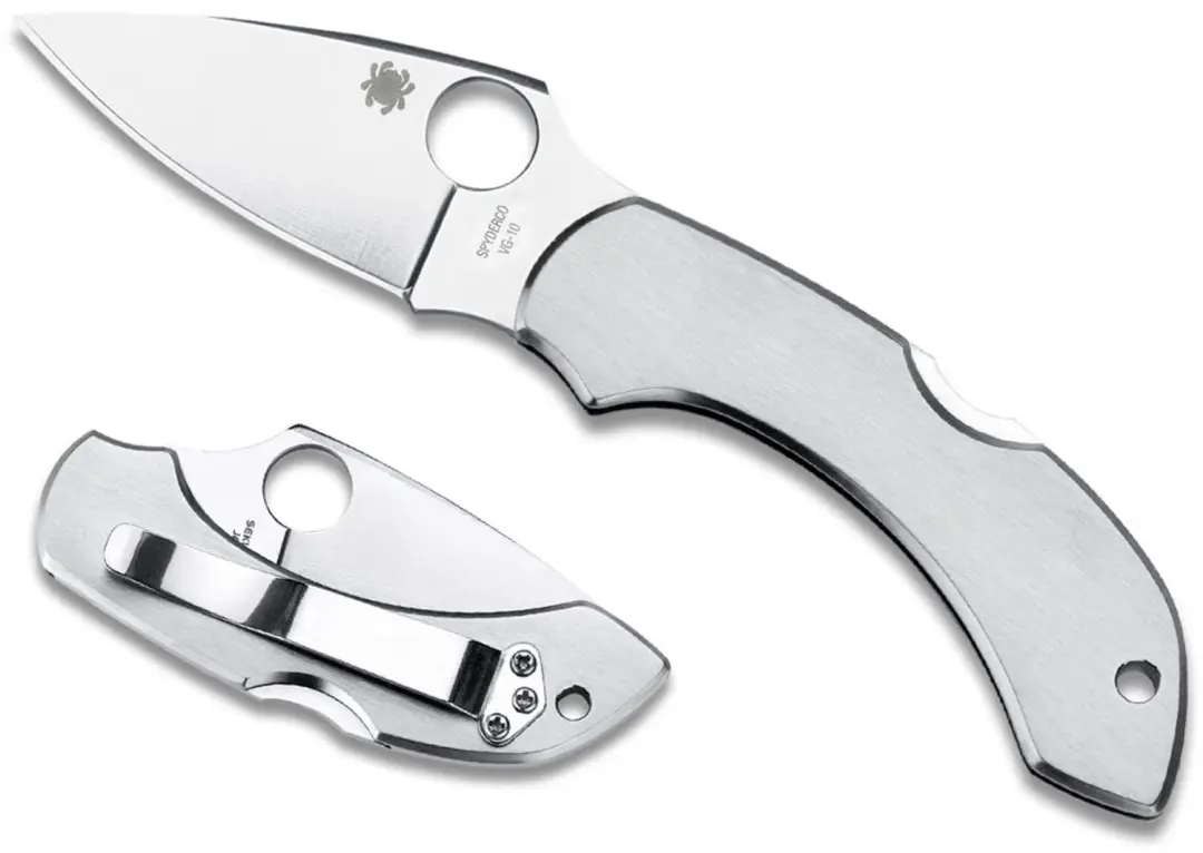 Spyderco Zakmes Dragonfly Zilver VG-10 PE