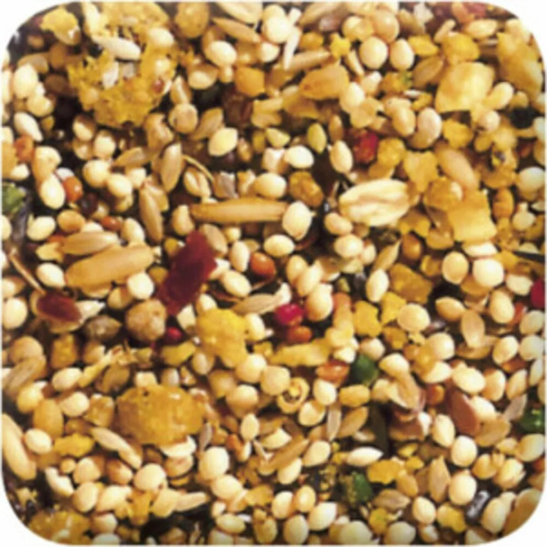 Beaphar XtraVital Parkiet Voordeelverpakking - 3x1kg