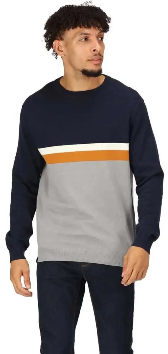 Regatta Kaelen Trui Blauw,Grijs M Man