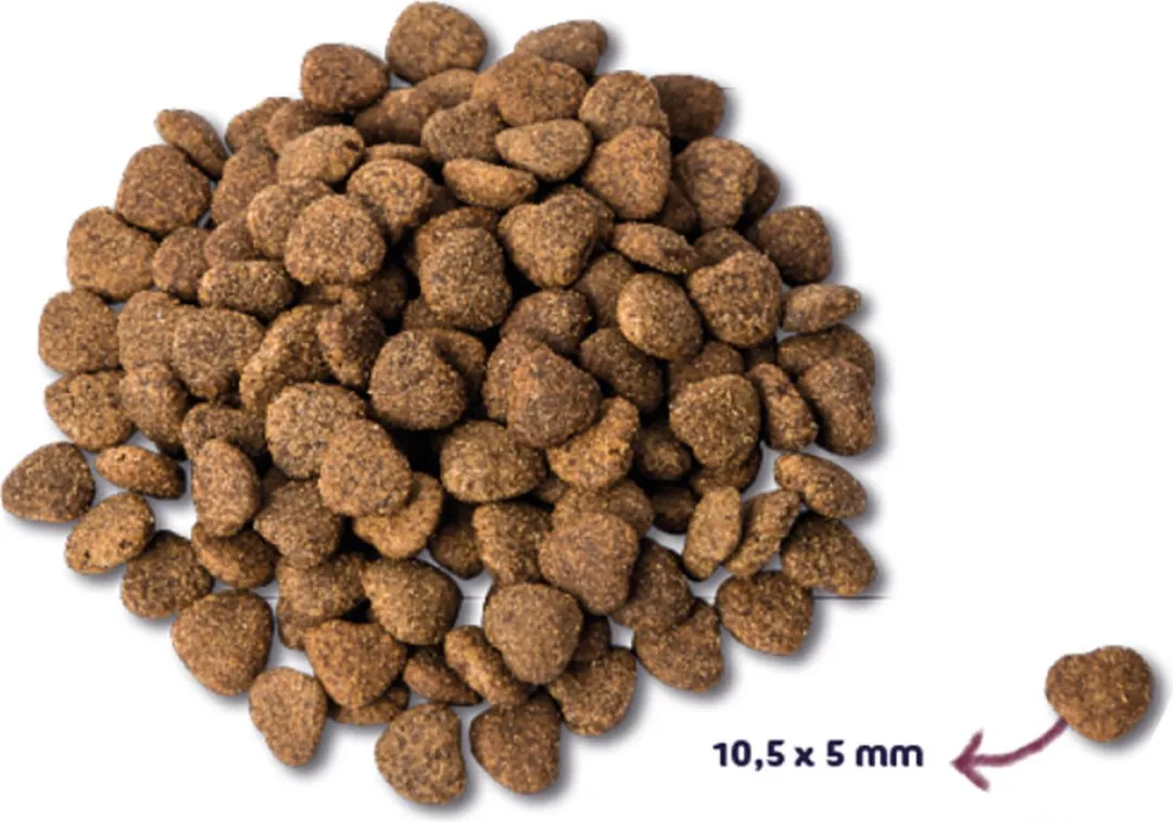 Renske Super Premium Kat Senior Kip & Eend 6kg - 2 Stuks