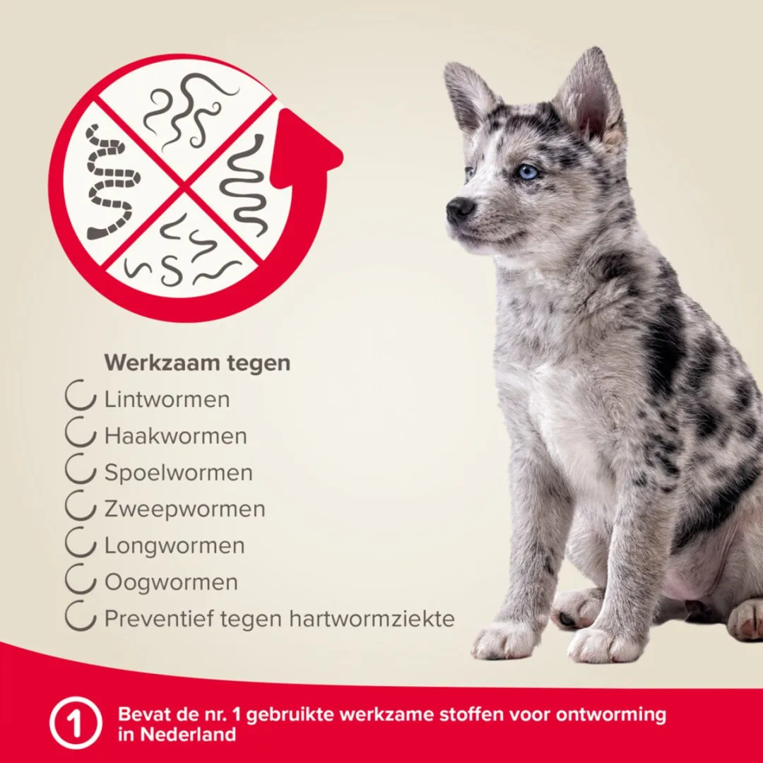 Beaphar Milquestra Ontworming Tabletten Hond 0,5-10kg - 4 Stuks
