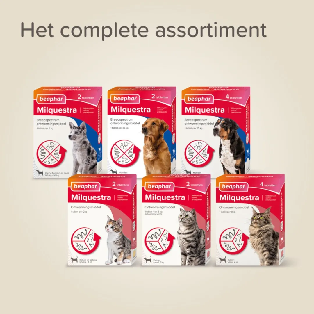 Beaphar Milquestra Ontworming Tabletten Hond 0,5-10kg - 4 Stuks