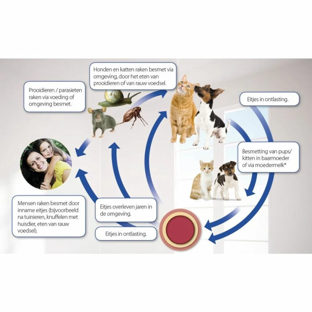 Beaphar Milquestra Ontworming Tabletten Hond 0,5-10kg - 4 Stuks