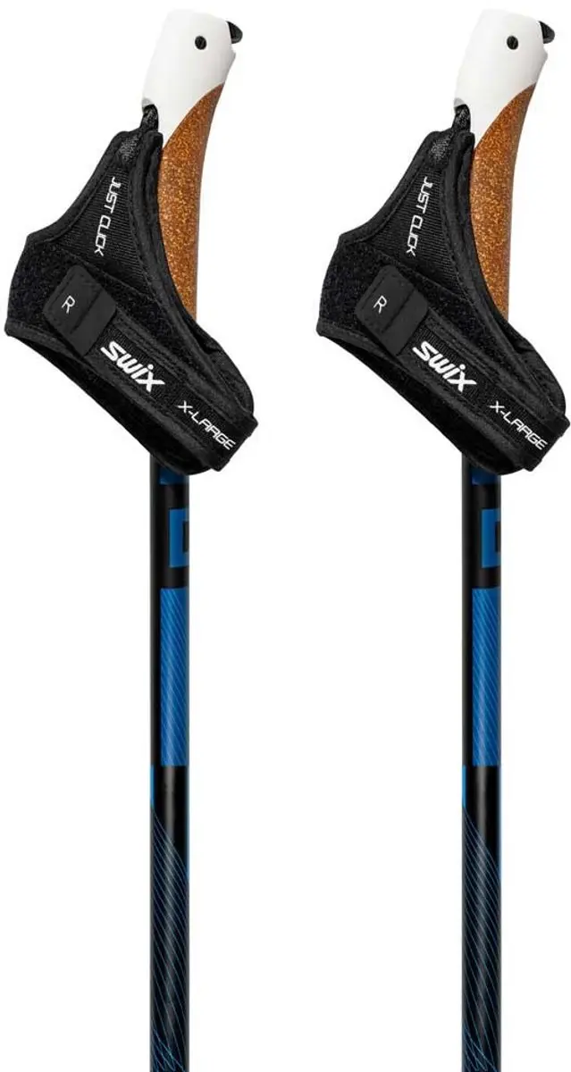 Swix Dynamic D2 Stokken Zwart 170 cm