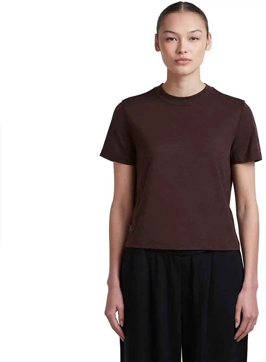 Icebreaker 150 Tech Lite Iii Crop T-shirt Met Korte Mouwen Bruin XS Vrouw