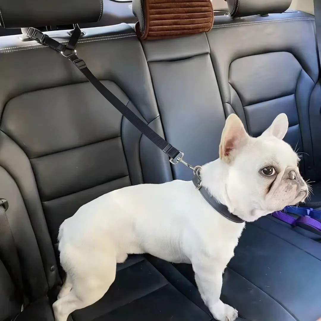 RedParrot Autogordel Hond Hoofdsteun - Zwart