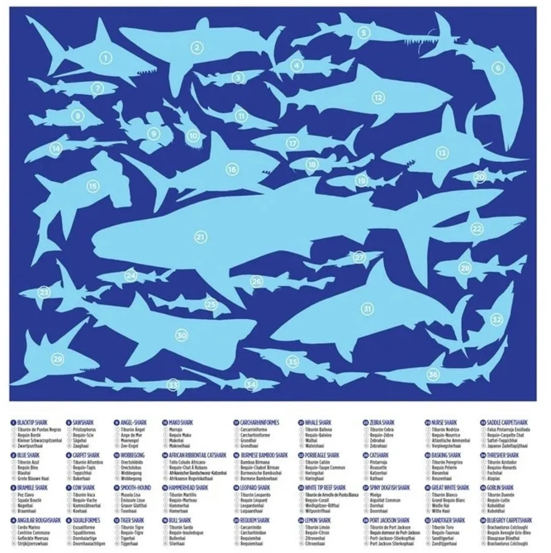 Crocodile Creek Puzzel Sharks 100 Stukjes - CC40548