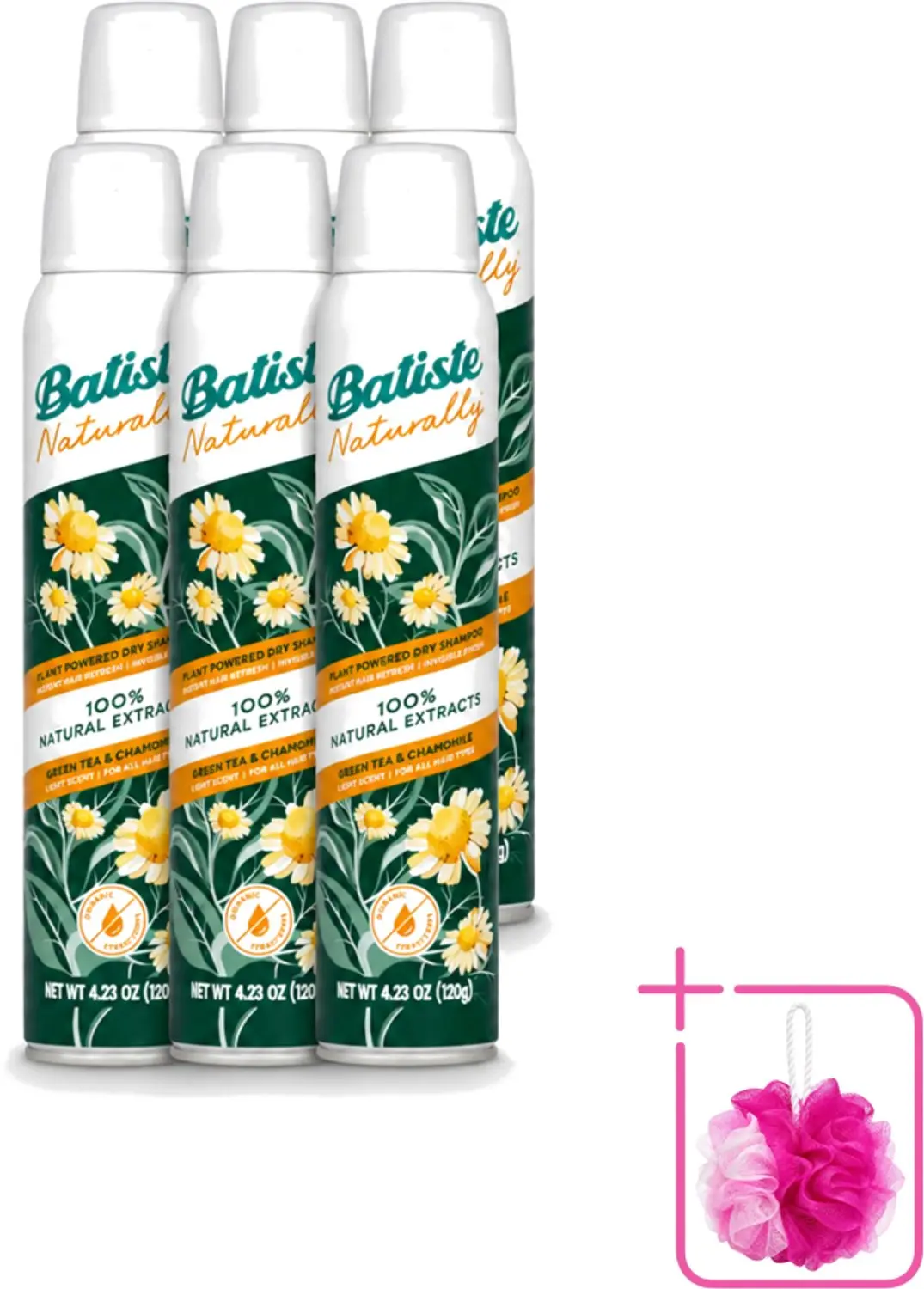 6 x Batiste