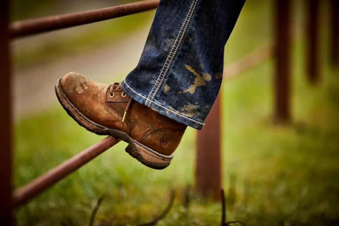 Ariat Anthem Round Toe Lacer H2O Rijlaarzen - Bruin - afbeelding 3 van 6