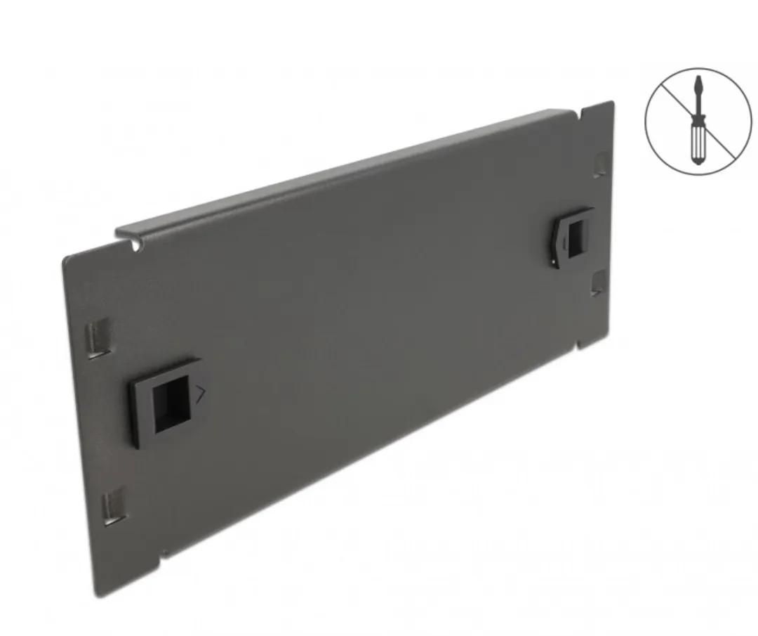 Delock 10" Blind Cover 2U Netwerkkast