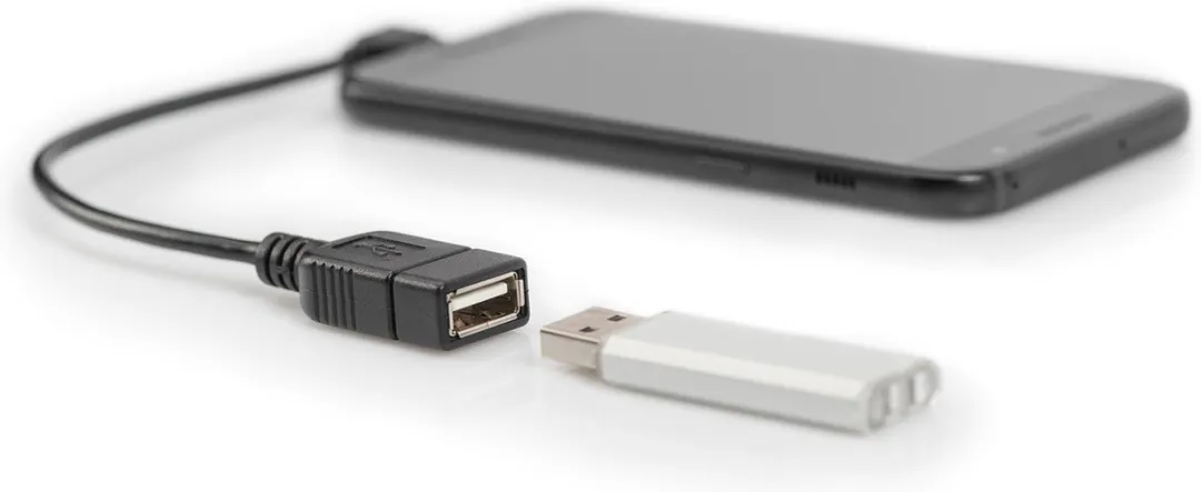 Digitus USB 2.0 Adapter AK-300313-002-S Micro-USB naar USB-A - Zwart