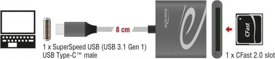 Delock 91745 USB-C Kaartlezer - CFast - USB 3.0 - Grijs