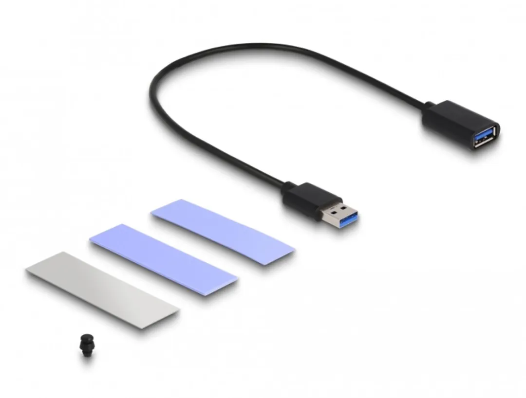 Delock 42013 USB 3.2 Gen 2 Behuizing M.2 NVMe - Zwart