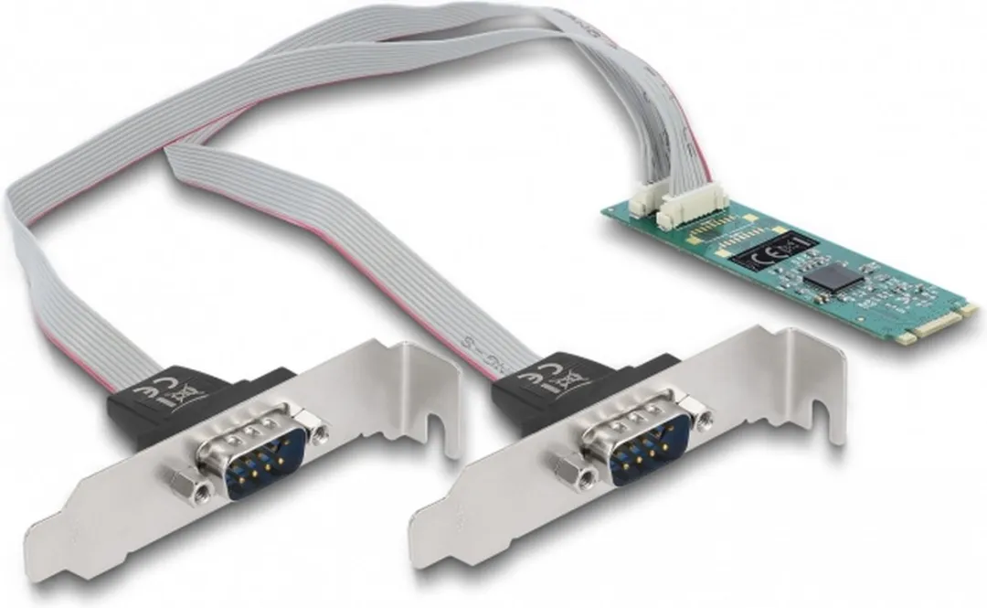 Delock M.2 naar 2x RS-232 DB9 Kaart