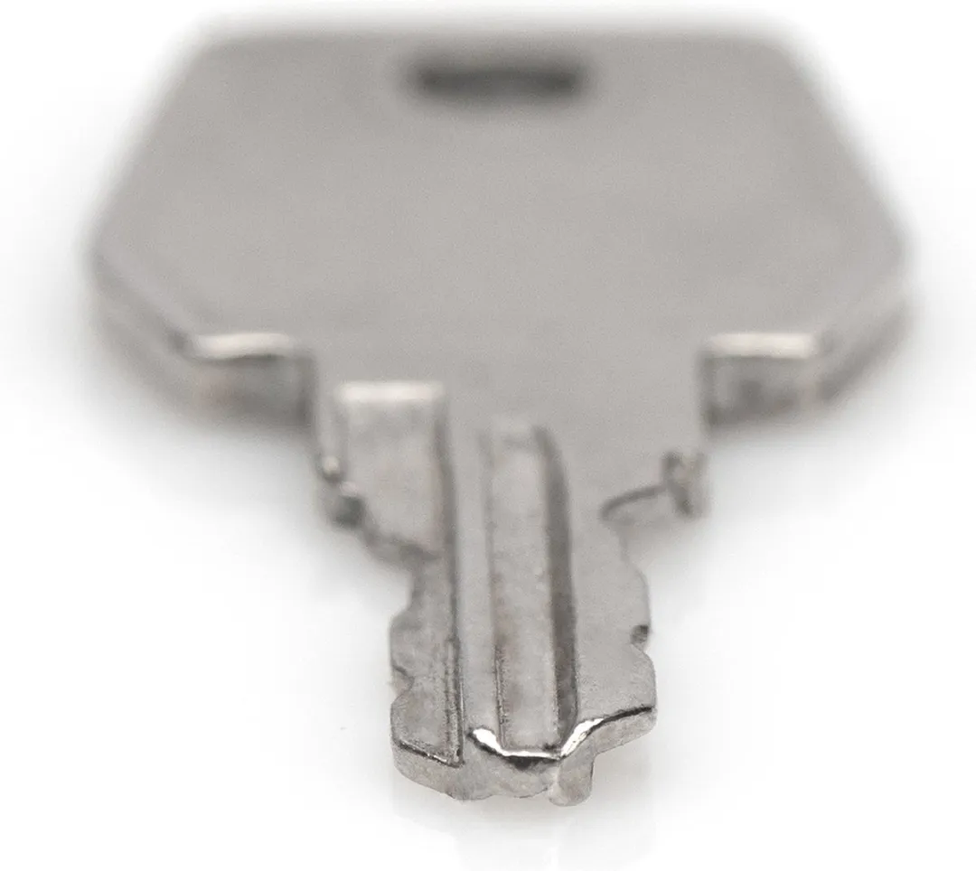 Digitus DN-19 KEY-9473 Behuizingaccessoire 19 inch - Staal