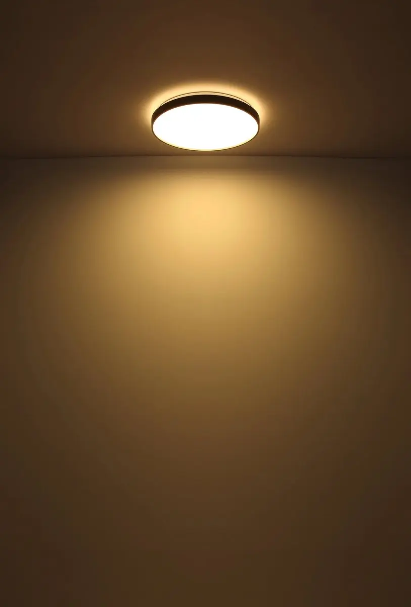 Globo Plafondlamp 41262-24 - 24W LED - Antraciet - afbeelding 3 van 6