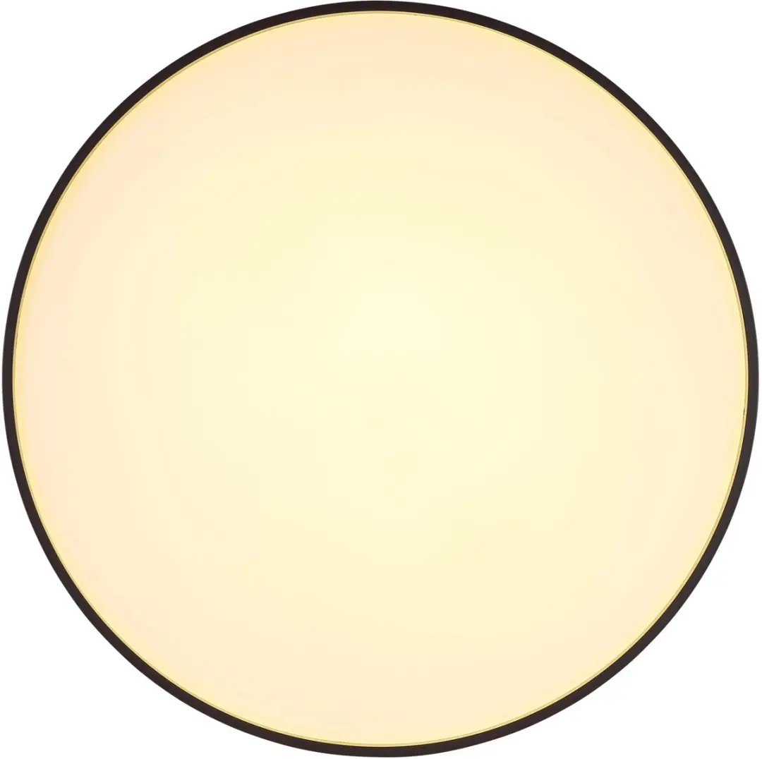 Globo Plafondlamp 41262-24 - 24W LED - Antraciet - afbeelding 4 van 6