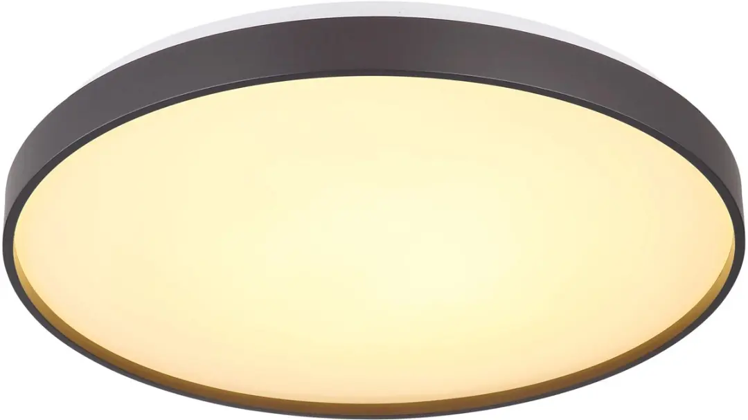 Globo Plafondlamp 41262-24