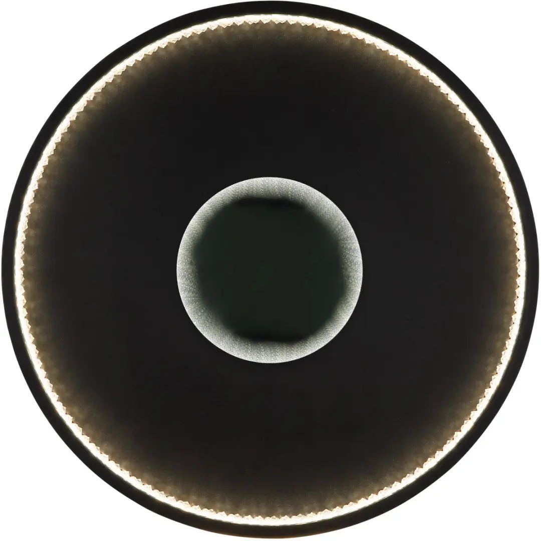 Globo Shirley 48563-30 Plafondlamp - 30W - Zwart - afbeelding 3 van 6