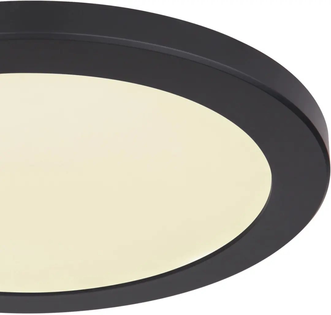 Globo Lasse 12379-24B Plafondlamp - 24W - Zwart - afbeelding 3 van 6