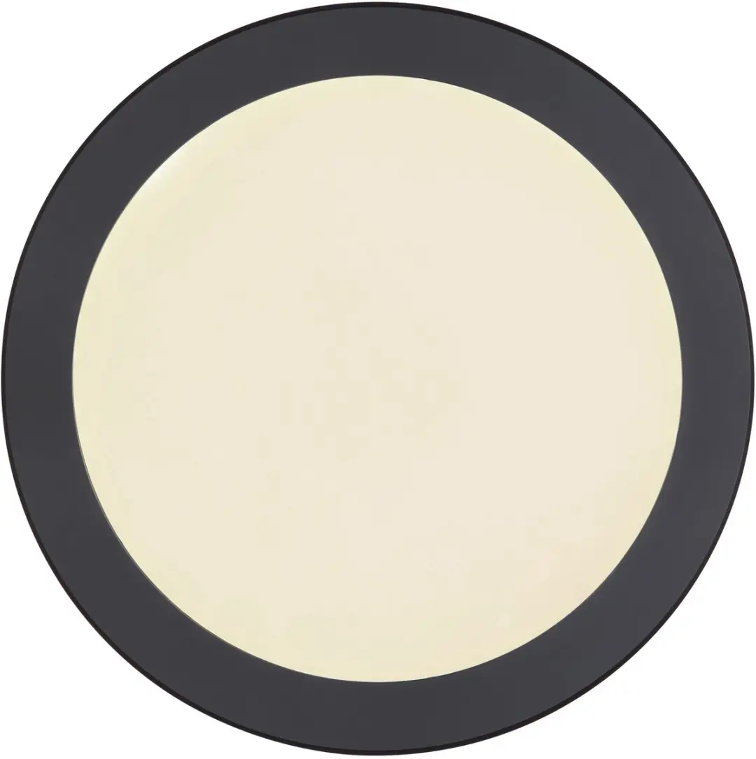 Globo Lasse 12379-24B Plafondlamp - 24W - Zwart - afbeelding 4 van 6