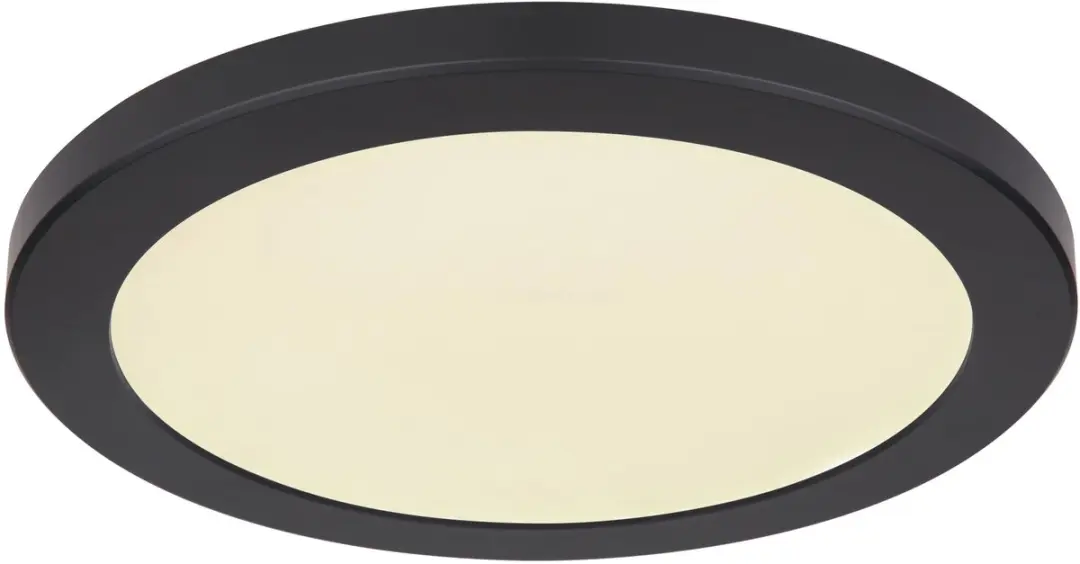 Globo Lasse 12379-24B Plafondlamp