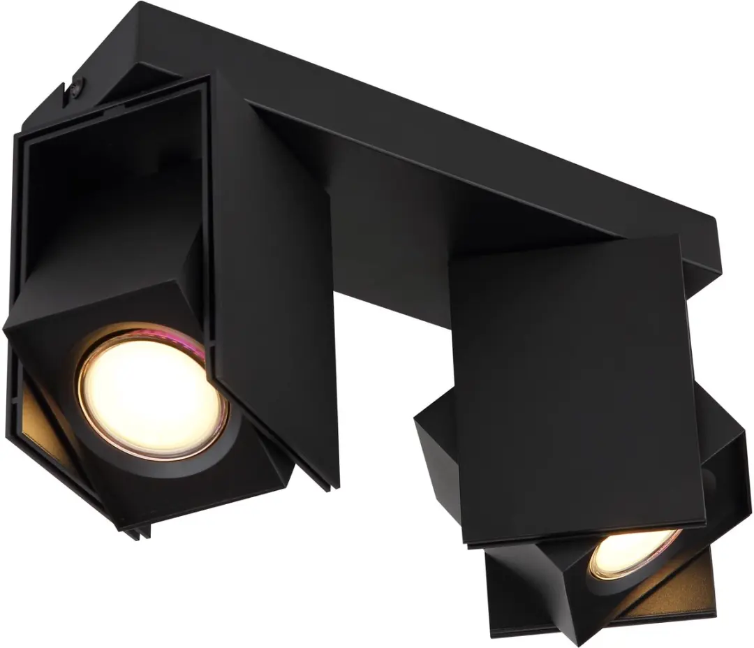Plafondlamp spot verplaatsbare spot woonkamer plafondspot zwart, aluminium, 2x G