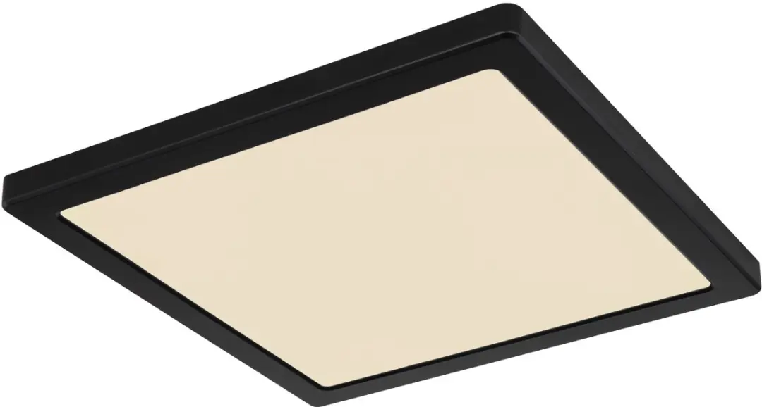 Globo Lasse 12380-24B Plafondlamp