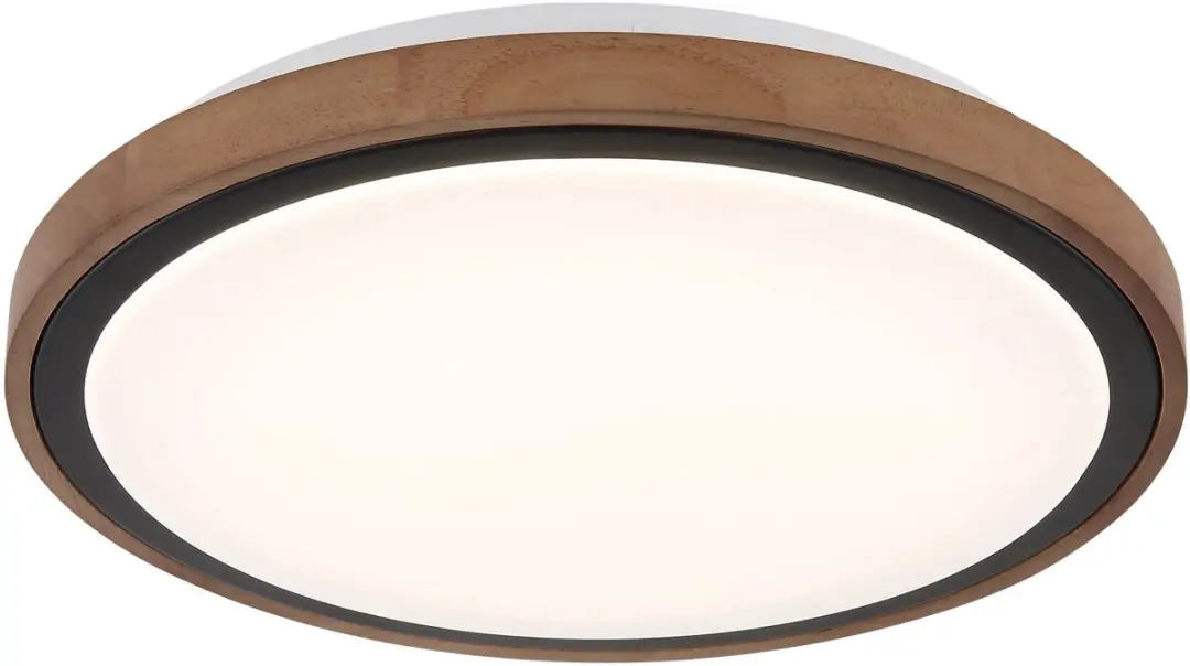 Globo Bruno Plafondlamp 18W