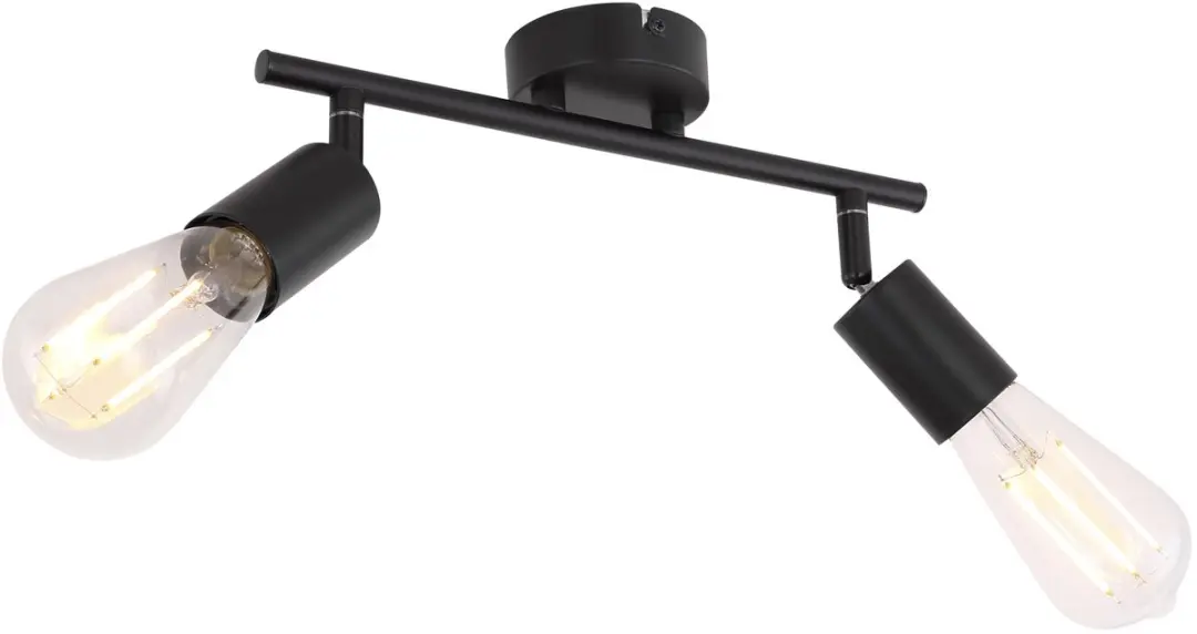 Plafondlamp 2-vlam Spotlight zwenkbaar Spotlight zwart, metaal, 2x E27 stopconta