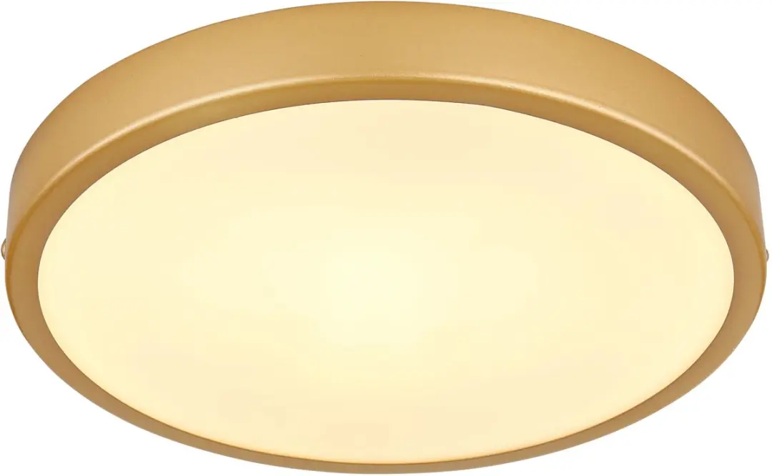 Globo Tibey LED Plafondlamp 12381-15