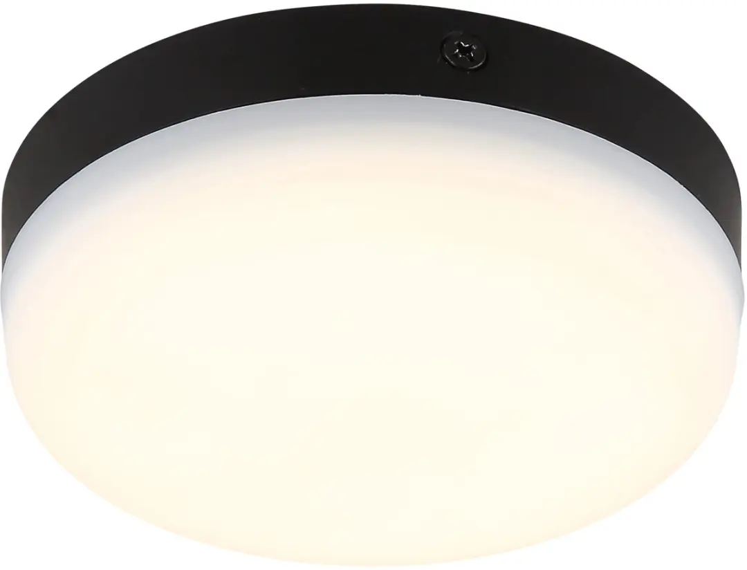 Plafondlamp Slaapkamerlamp zwart frame, kunststof, rond, 1x LED 8 W 570 lm 4000