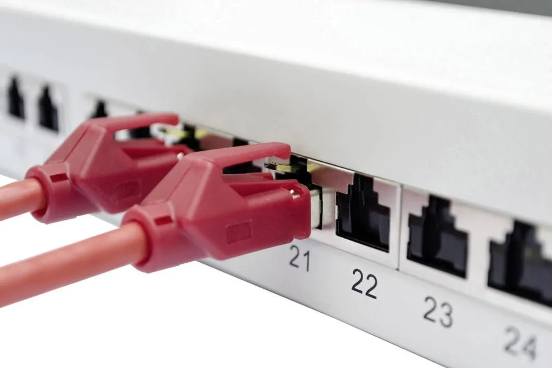 Digitus DN-91624S-EA Netwerkpatchpaneel 24 Poorten CAT 6A - 19" - Grijs-wit