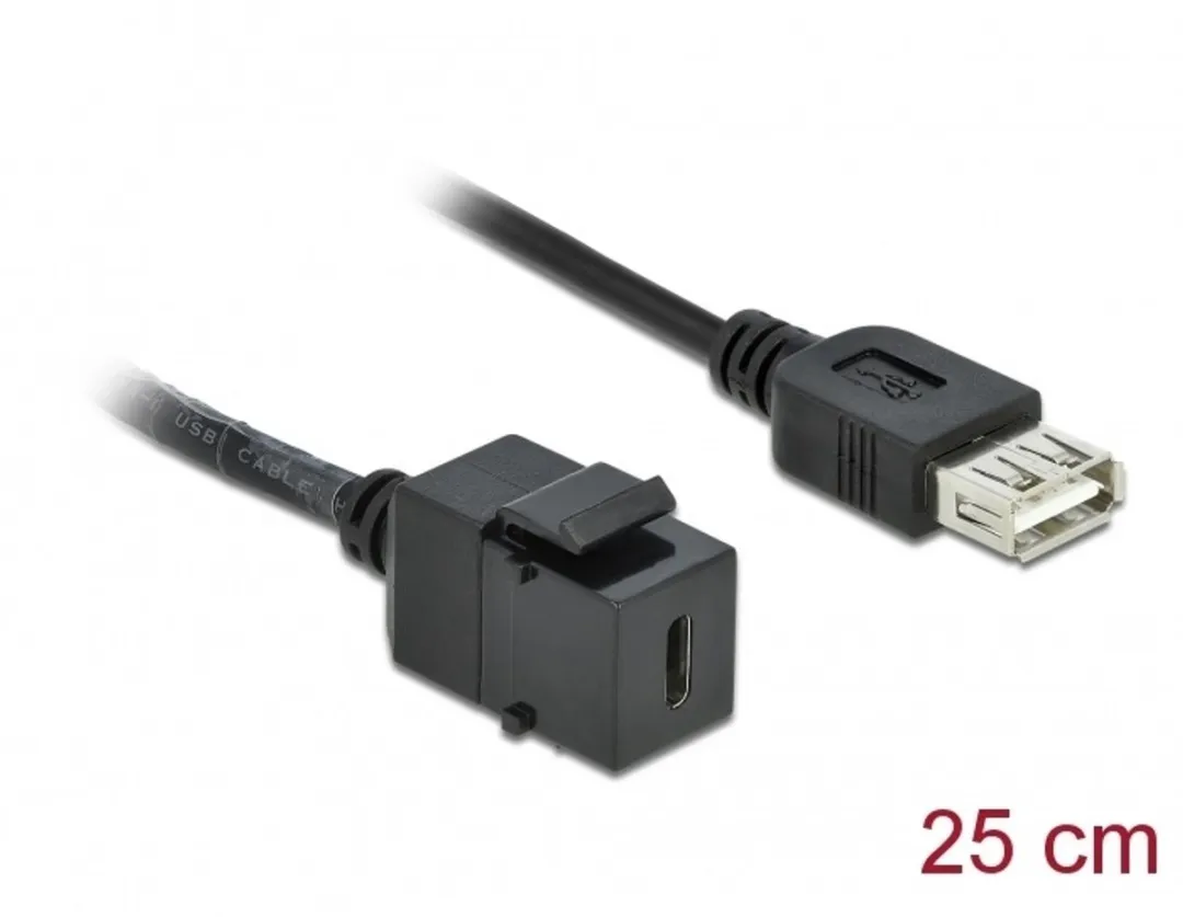 Delock Keystone Module USB 2.0 C Vrouw naar USB 2.0