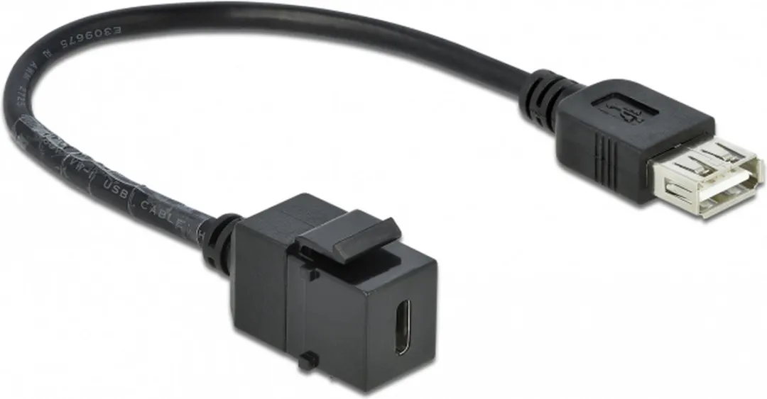 Delock Keystone Module USB 2.0 C Vrouw naar USB 2.0 - Zwart