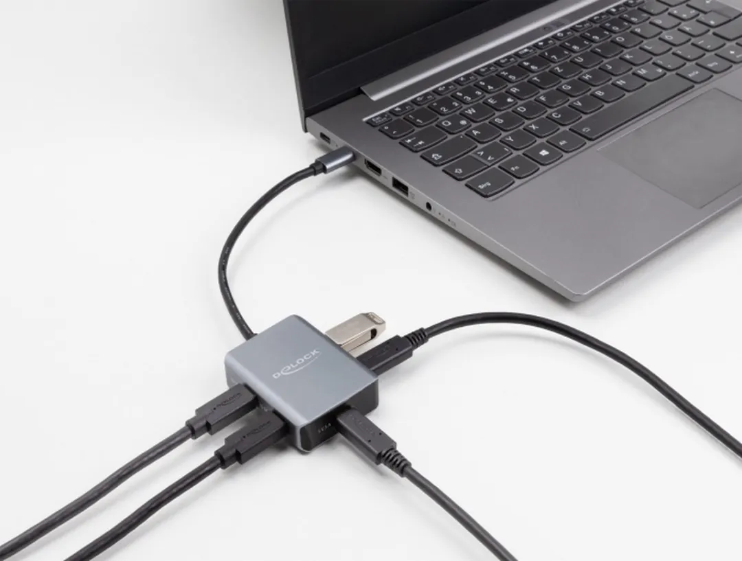 Delock 64249 USB-C Hub 5 Poorten - 10 Gbit/s - Zwart/Grijs