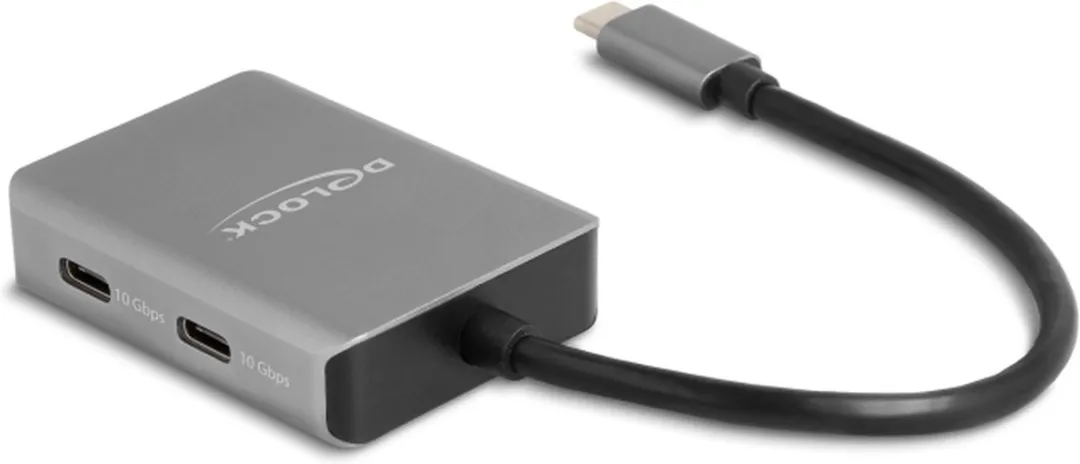Delock 64249 USB-C Hub 5 Poorten
