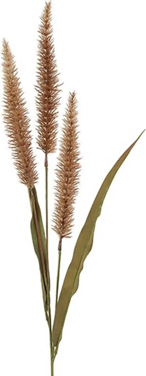 Countryfield Kunstgras/pluim Pennisetum bruin