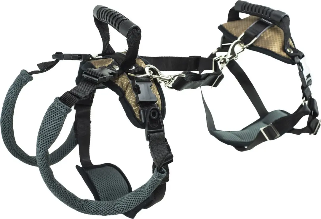 Petsafe Carelift Voor En Achter