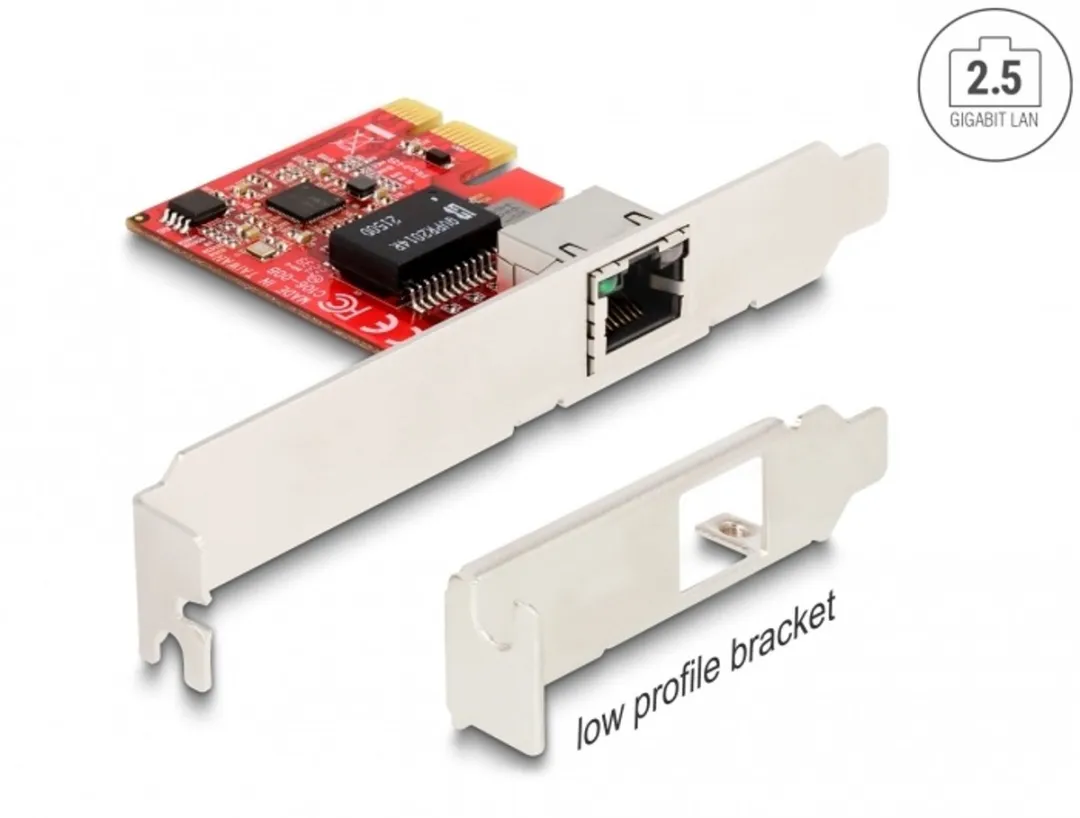 Delock 90100 Netwerkkaart 2500 Mbit/s
