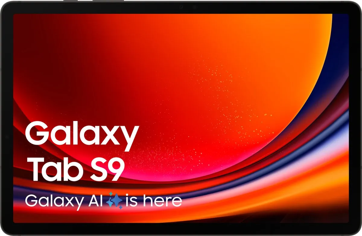 Samsung Galaxy Tab S9 SM-X710NZAEEUB - 256GB - Graphite