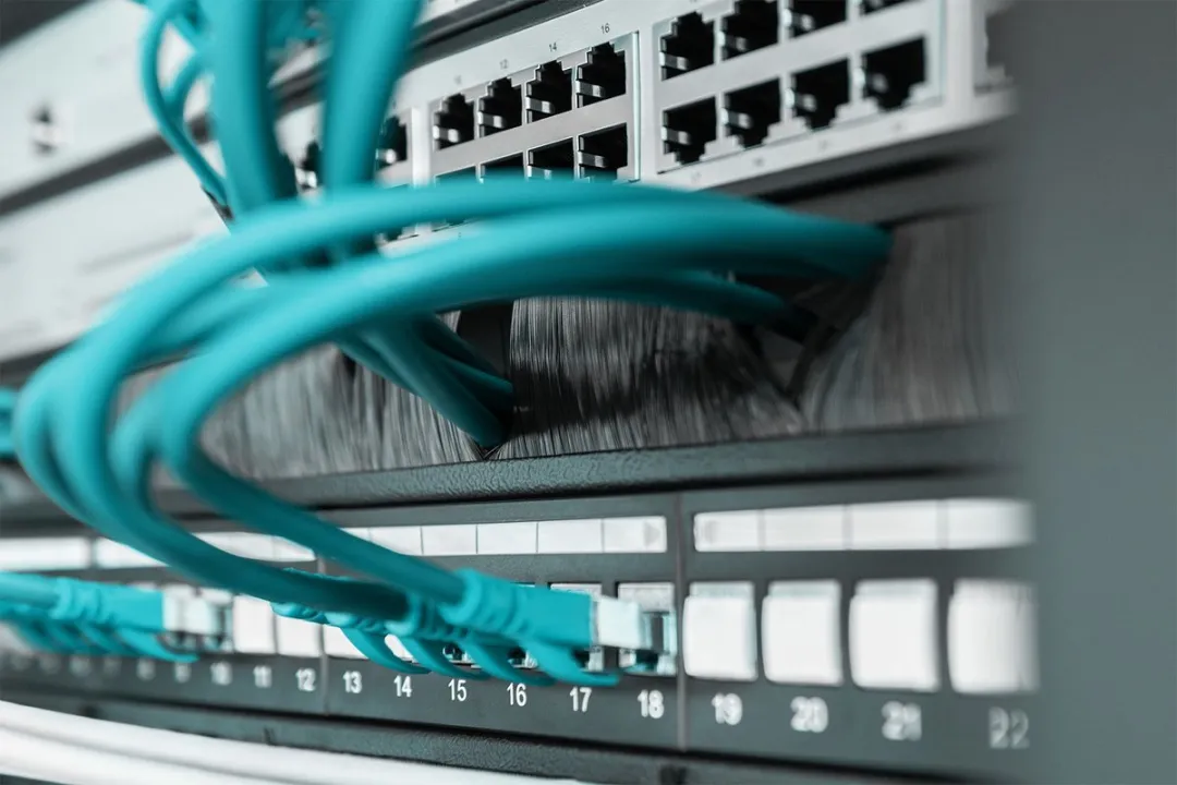 Digitus DN-97661 Patchkast Afdekking 1 HE - Zwart