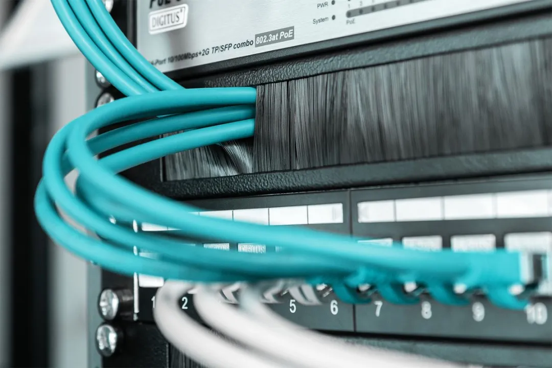Digitus DN-97661 Patchkast Afdekking 1 HE - Zwart