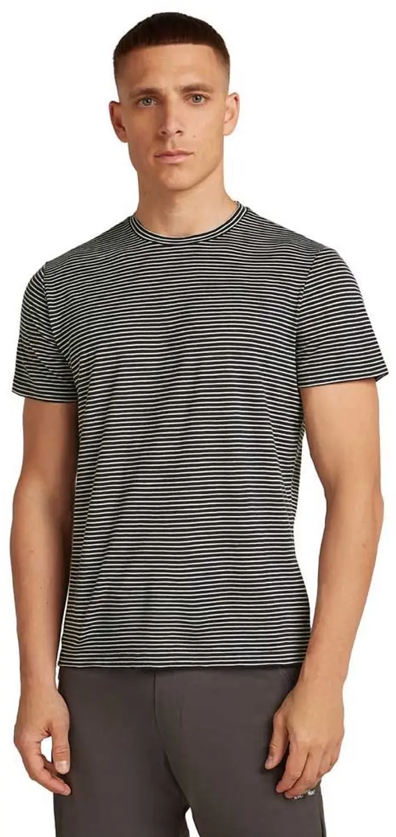 Icebreaker Merino 150 Tech Lite T-shirt Met Korte Mouwen Grijs S Man