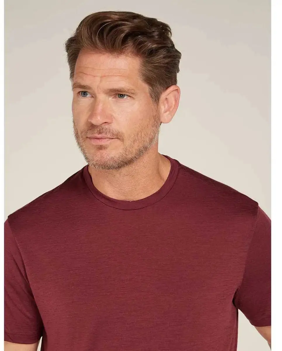 Icebreaker Merino 150 Tech Lite III T-shirt - afbeelding 3 van 4