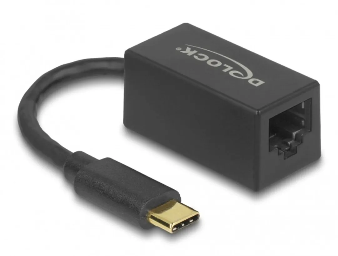 Delock 66043 USB-C naar Gigabit LAN Adapter - Zwart