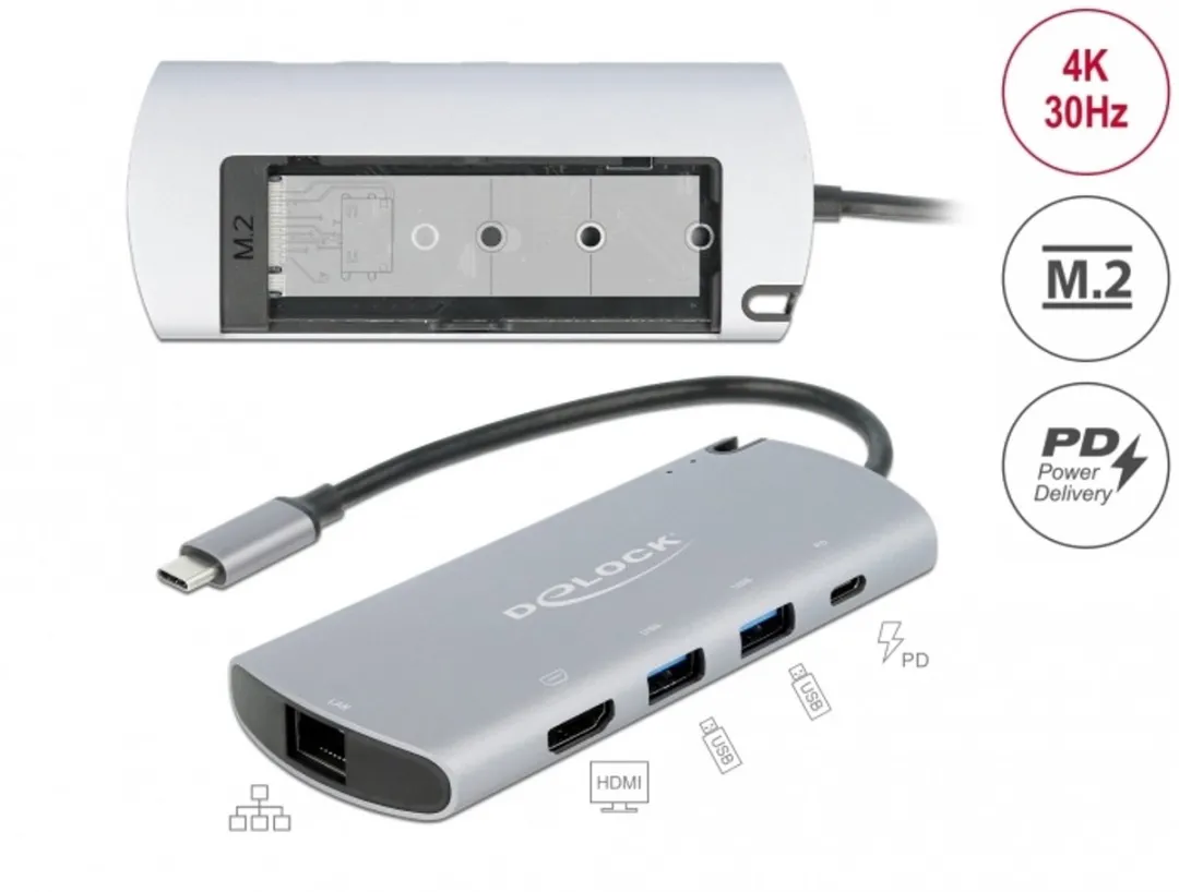 Delock 87767 USB-C Docking Station - M.2 Slot - Grijs