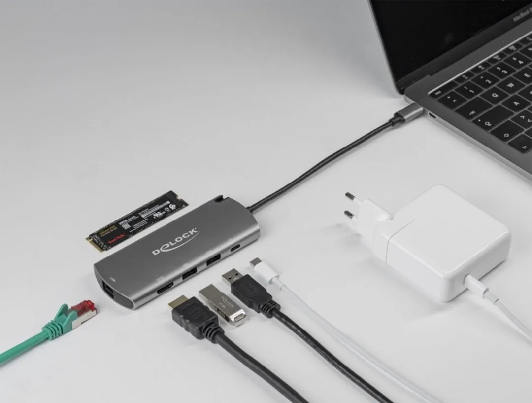 Delock 87767 USB-C Docking Station - M.2 Slot - Grijs