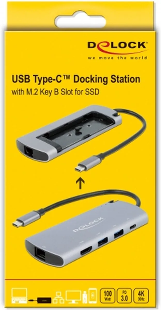 Delock 87767 USB-C Docking Station - M.2 Slot - Grijs